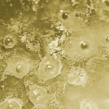 imatge d'una superfície neutre amb textura