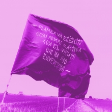 Imatge il·lustrativa del projecte. Bandera en camps d'arròs
